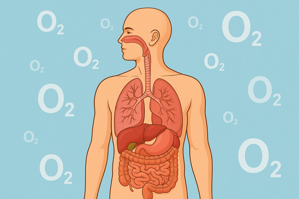 Mengenal Anemia dan Penyebabnya